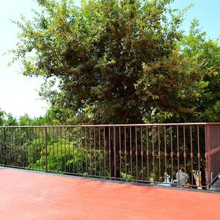 B&B Le Tre Rose Di Maria Pedara Dış mekan fotoğraf
