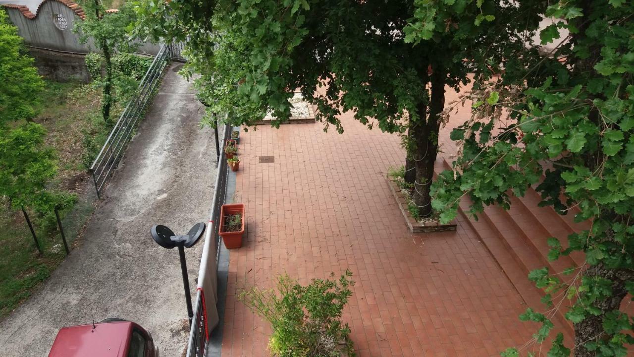 B&B Le Tre Rose Di Maria Pedara Dış mekan fotoğraf