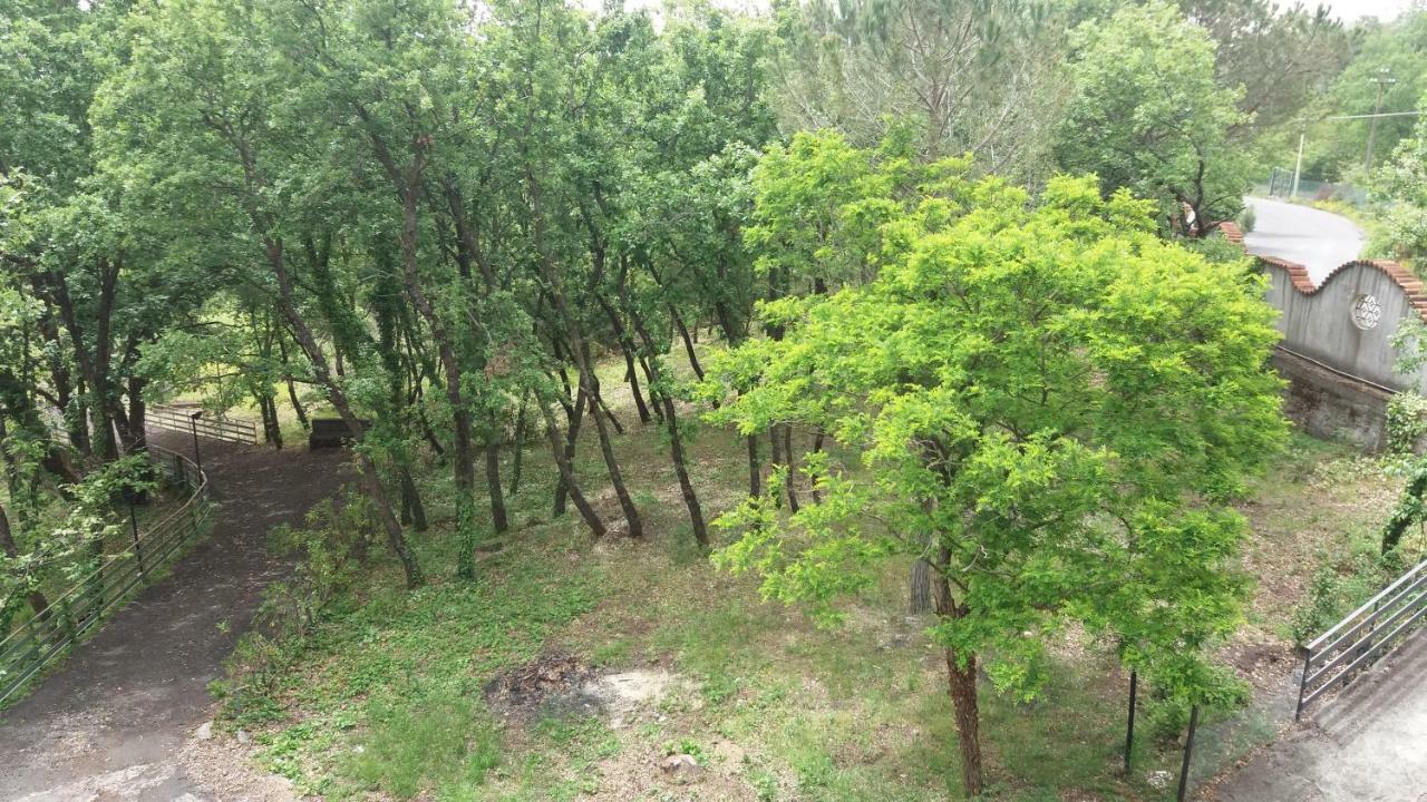 B&B Le Tre Rose Di Maria Pedara Dış mekan fotoğraf