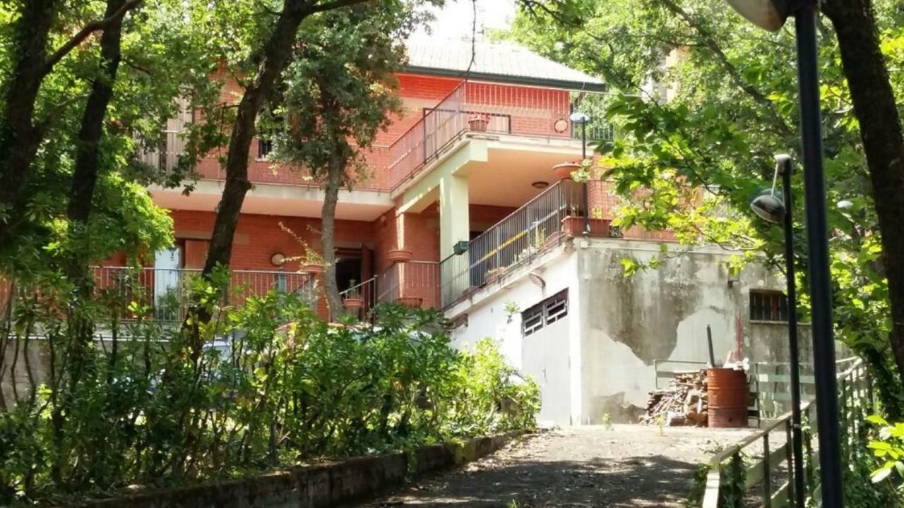 B&B Le Tre Rose Di Maria Pedara Dış mekan fotoğraf